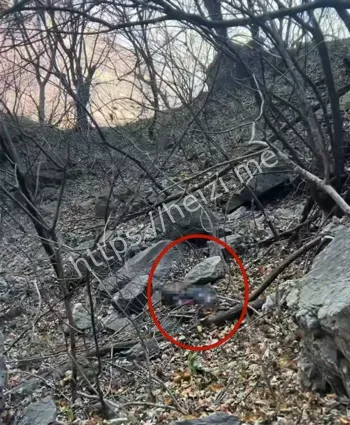 南太行失联遗体发现